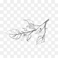 ���˺������ز� ���� ��֦-������