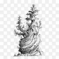 ����-������