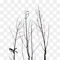 û����Ҷ�Ŀ���֦-������