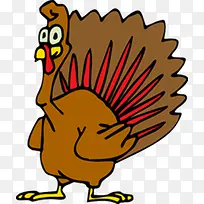 火鸡的图片-空若网 火鸡的图片-空若网