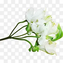 手绘卡通装饰素材-空若网 手绘卡通装饰素材-空若网