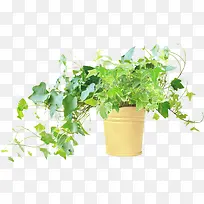 ��Ӱ����Ч��Ԫ��-������