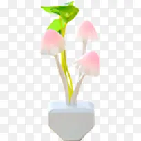 ������Ӱ��ɫֲ������-������