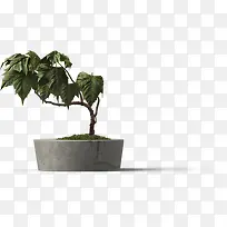 ������Ӱ��ɫ������Ч��-������