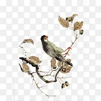 枯树枝上的小鸟-空若网 枯树枝上的小鸟-空若网