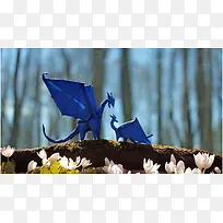 ���崴��Ԫ����Ӱ����-������