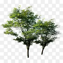 סլ����Ч������-������