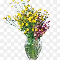 玻璃花瓶-空若网 玻璃花瓶-空若网