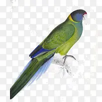 ��-������