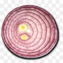 洋葱-空若网 洋葱-空若网