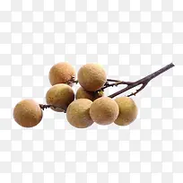 ��Բ-������