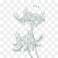 ��ͷ��-������