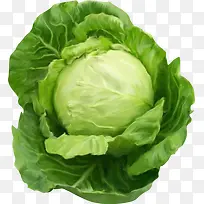 ���Ĳ�png�ز�-������