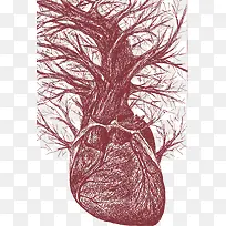 矢量铅绘心脏-空若网 矢量铅绘心脏-空若网