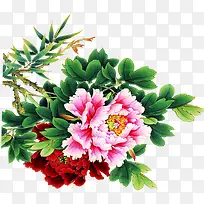 ������ɫˮ�ʻ�ĵ������-������