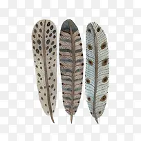 卡通花纹羽毛-空若网 卡通花纹羽毛-空若网