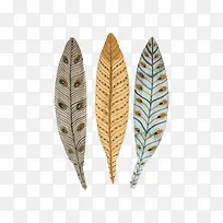 卡通孔雀羽毛-空若网 卡通孔雀羽毛-空若网