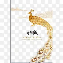 孔雀-空若网 孔雀-空若网