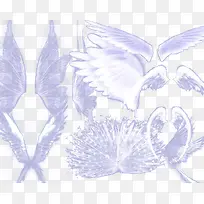 ��ʹ֮��-������