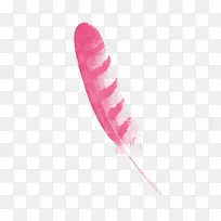 彩色羽毛-空若网 彩色羽毛-空若网