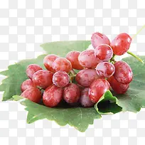 葡萄免费下载-空若网 葡萄免费下载-空若网