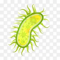 ��������ɫ����-������