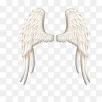 ���ͼ��-������