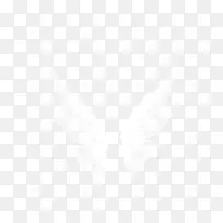 翅膀图案-空若网 翅膀图案-空若网