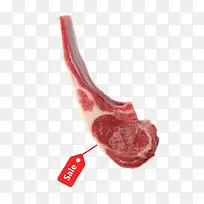 ʵ�����Ŵ�����ǩ-������