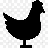 鸡寻找正确的图标-空若网 鸡寻找正确的图标-空若网
