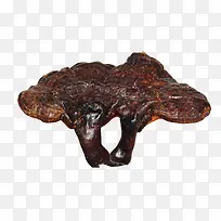 ÁéÖ¥ÑøÉúÒ©²ÄÃâ¿ÙËØ²Ä-¿ÕÈôÍø ÁéÖ¥ÑøÉúÒ©²ÄÃâ¿ÙËØ²Ä-¿ÕÈôÍø