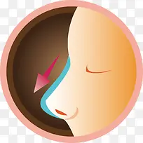 人体的鼻子器官卡通-空若网 人体的鼻子器官卡通-空若网