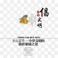 �����Ĳ�-������