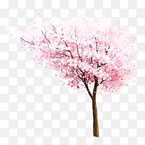 ��ɫӣ����������-������