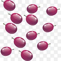 葡萄粒png矢量素材-空若网 葡萄粒png矢量素材-空若网