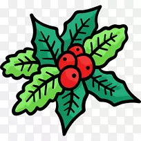 叶开花植物花瓣开花植物-槲寄生-空若网 叶开花植物花瓣开花植物-槲寄生-空若网