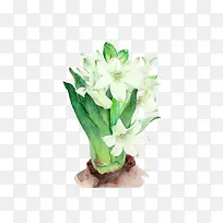 ˮ�ʻ���-������