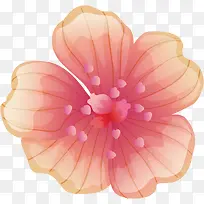 花纹-空若网 花纹-空若网