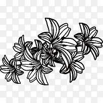 对称花纹-空若网 对称花纹-空若网