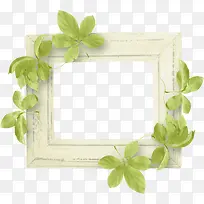 С����Ҷ����Ҷ�߿�-������