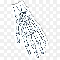 ��ָ����-������