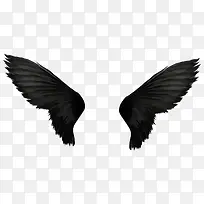 ��ħ���-������