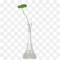 玻璃瓶里的铜钱草-空若网 玻璃瓶里的铜钱草-空若网