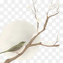 Öйú·ç¼òÔ¼¶¬¼¾Ê÷ľÊ÷Ö¦-¿ÕÈôÍø Öйú·ç¼òÔ¼¶¬¼¾Ê÷ľÊ÷Ö¦-¿ÕÈôÍø