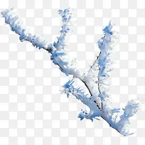 ��˪��֦-������