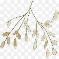 ÊÖ»æÊ÷Ö¦-¿ÕÈôÍø ÊÖ»æÊ÷Ö¦-¿ÕÈôÍø