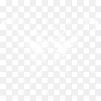 水花翅膀素材-空若网 水花翅膀素材-空若网