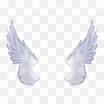 ���-������