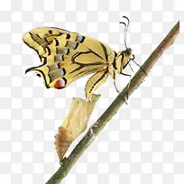 �����ɱ�-������