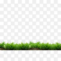 草地-空若网 草地-空若网